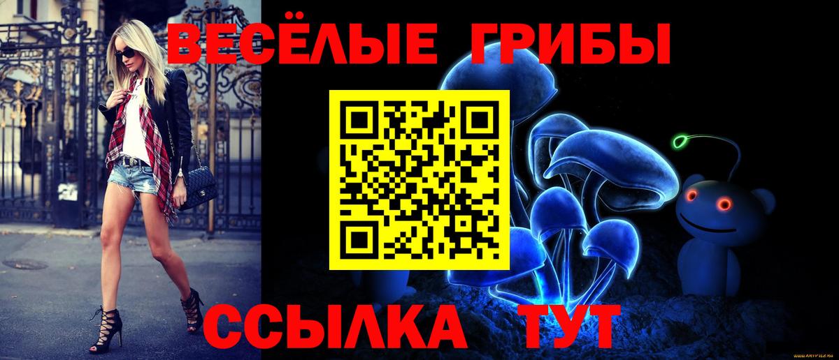 Псилоцибиновые грибы Psilocybine cubensis  Псилоцибиновые грибы прущие грибы  Вход с VPN  Аша 